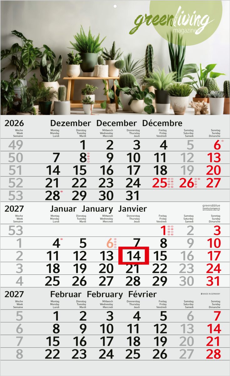 3-Monatskalender Einblatt Budget 3 RECYCLING Schrift modern