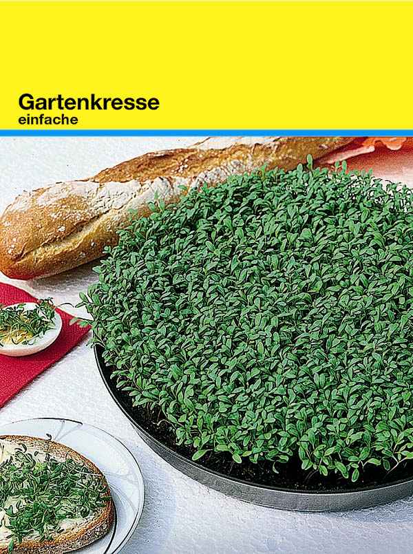 Samentütchen Kresse 82 x 114 mm