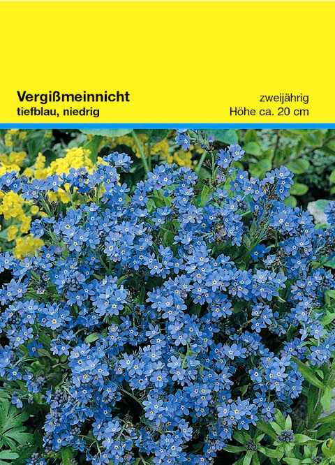 Samentütchen Vergissmeinnicht 82 x 114 mm